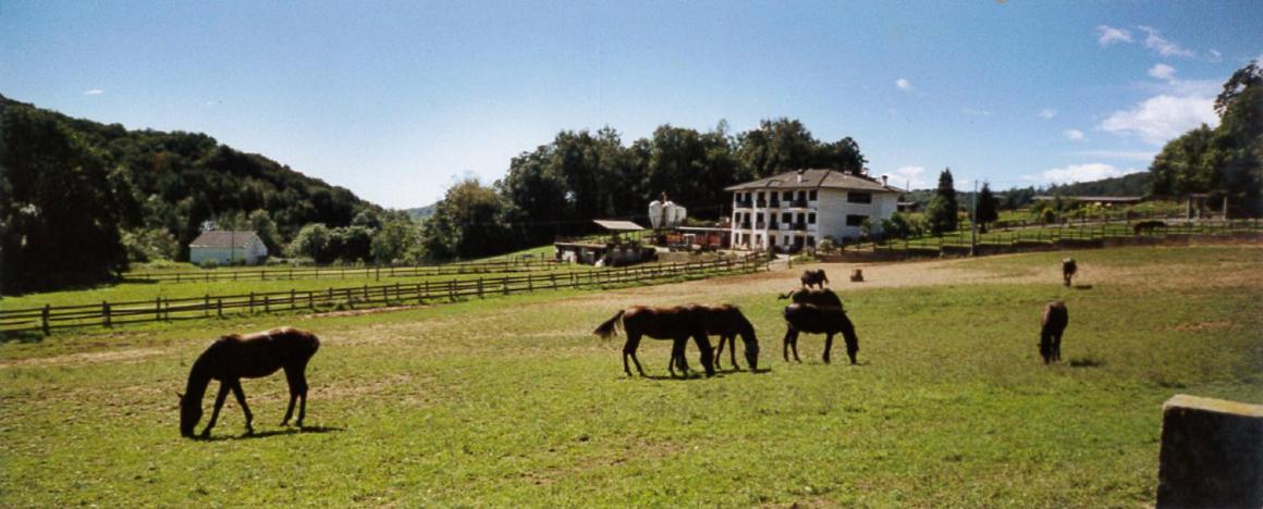 Bed and Breakfast Favetto Family Ranch Rueglio Экстерьер фото